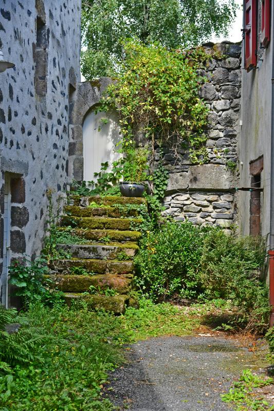 min 2023 08 13 Salers 141